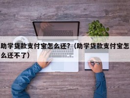 助学贷款支付宝怎么还?（助学贷款支付宝怎么还不了）