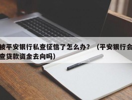 被平安银行私查征信了怎么办？（平安银行会查贷款资金去向吗）