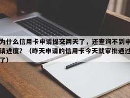 为什么信用卡申请提交两天了，还查询不到申请进度？（昨天申请的信用卡今天就审批通过了）